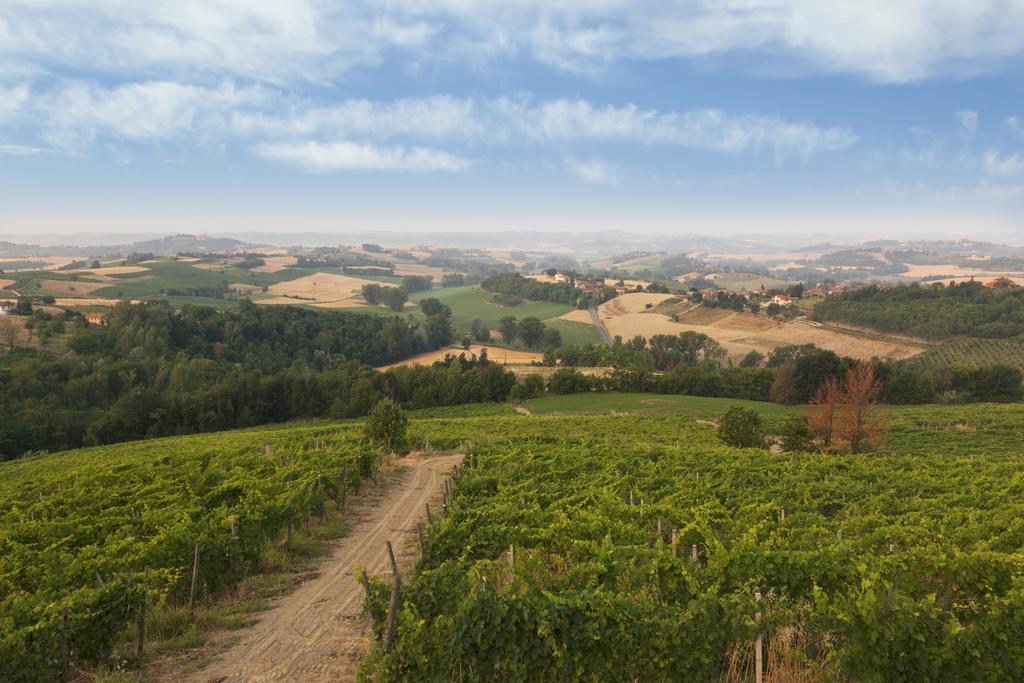 Crealto Villa Alfiano Natta Kültér fotó