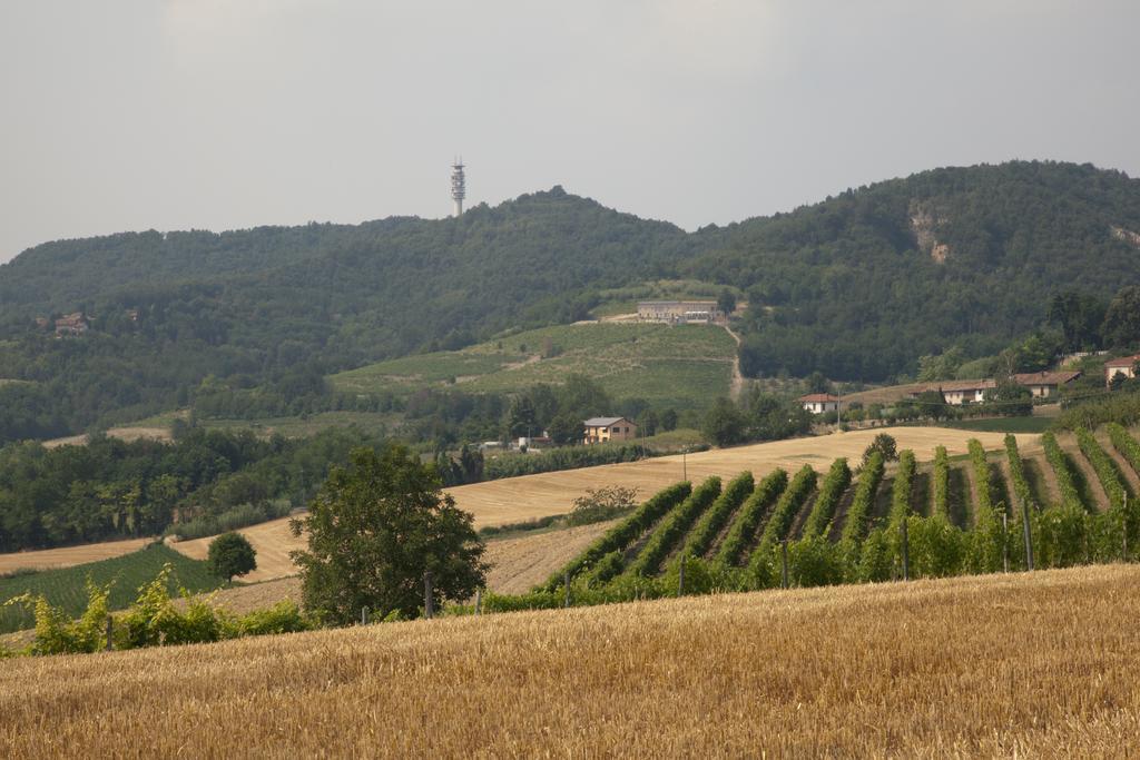 Crealto Villa Alfiano Natta Kültér fotó